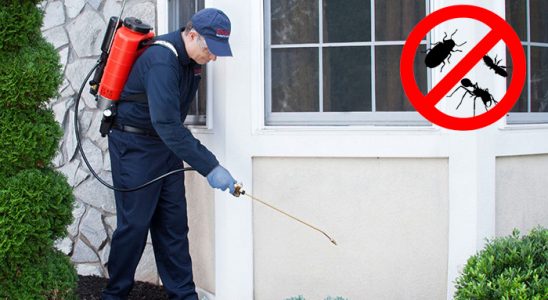 Sorgun Kemirgen İlaçlama böcek ilaçlama ve haşere kontrolü — ilaclama-tr.com
